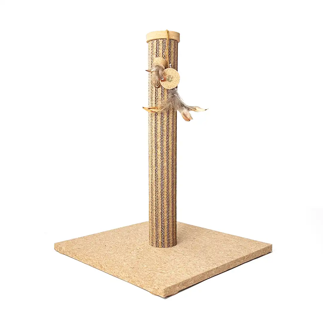 product-pics